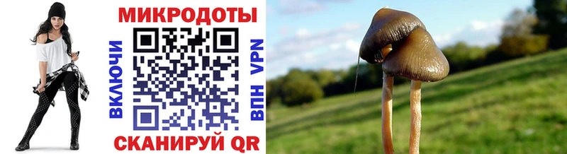 Псилоцибиновые грибы Psilocybe  купить закладку  shop наркотические препараты  Сочи 